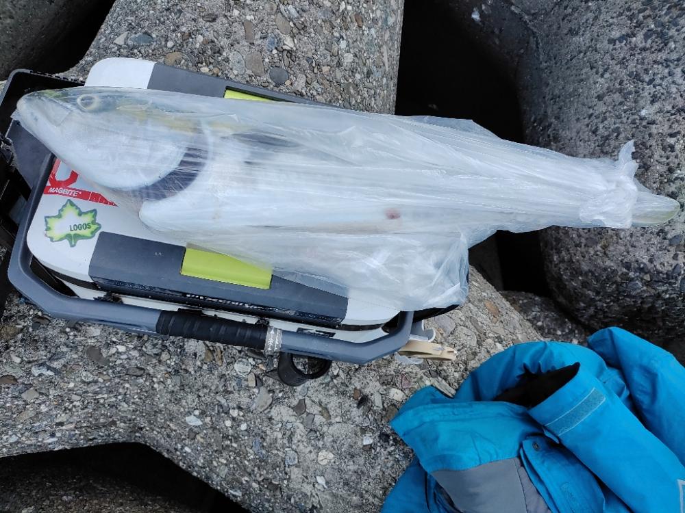 ショアジギング