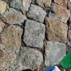 落ちギスを求め