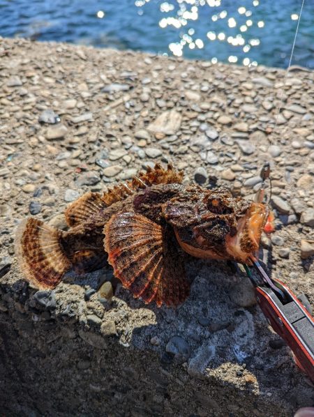 陸っぱり釣行記