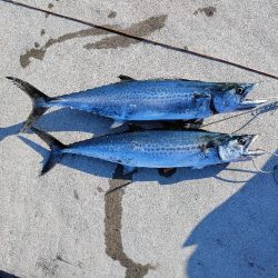 ショアジギング