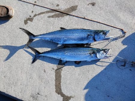 ショアジギング