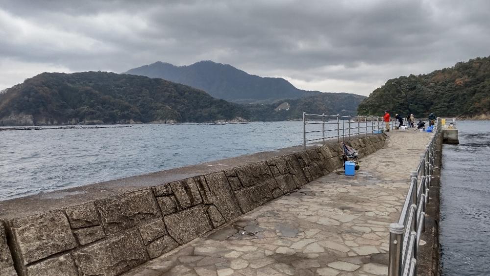 急遽、初、日引漁港釣行！