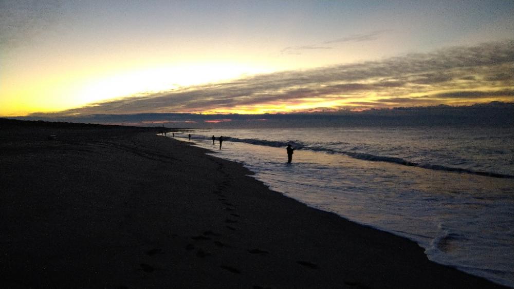 久々のショアジギで釣れたのは?