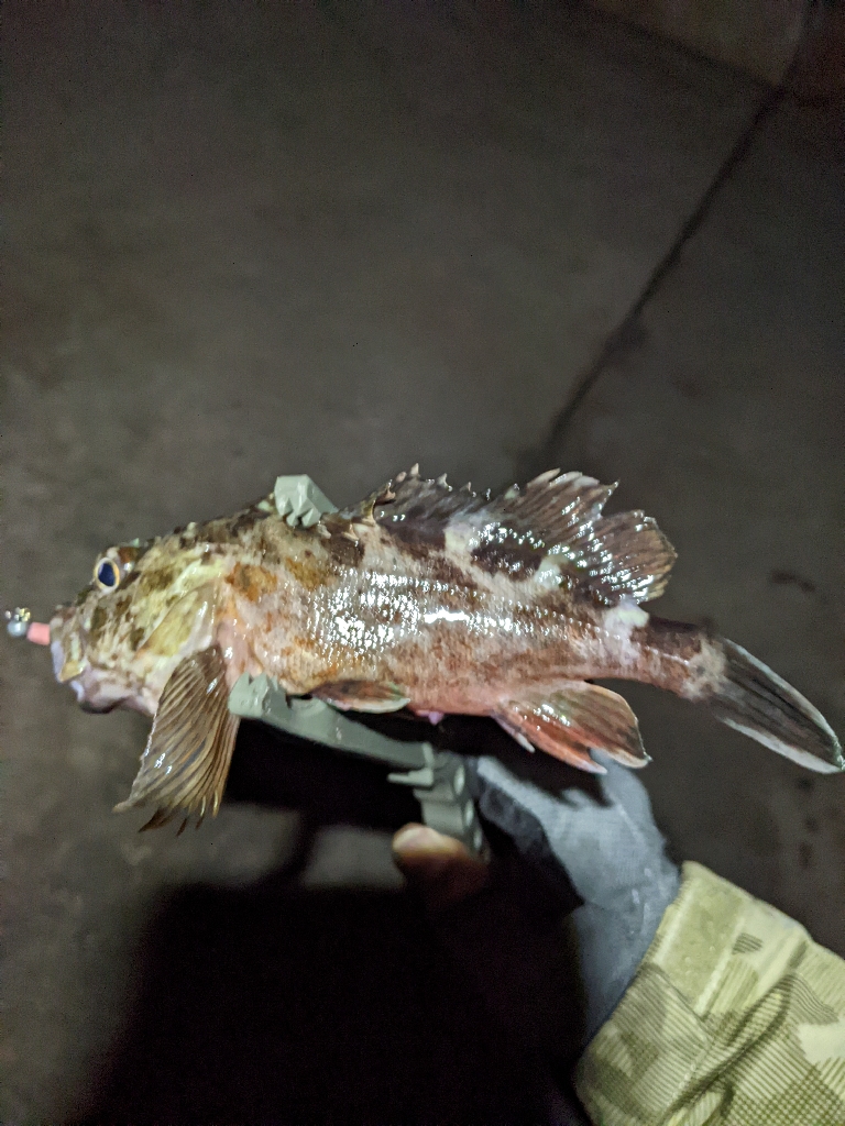 寒くなったなぁ