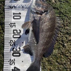 イチノ兄弟(兄)釣果!