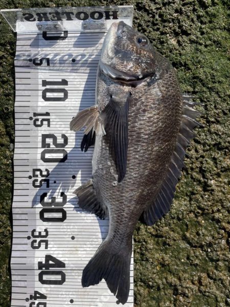 イチノ兄弟(兄)釣果!