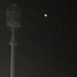 月食でもセイゴは釣れる?