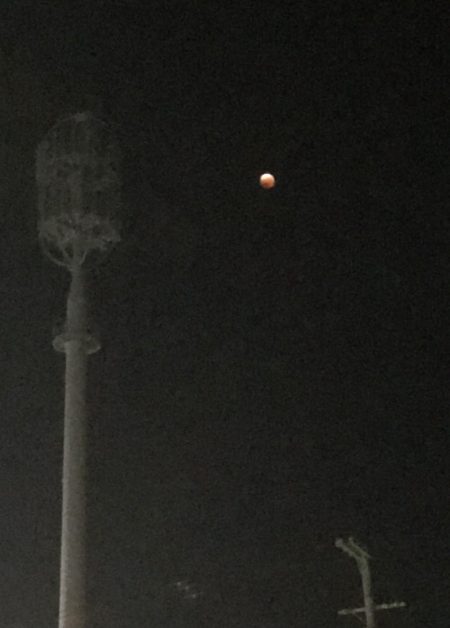 月食でもセイゴは釣れる?