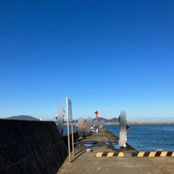 アイゴ祭りに、大きめアジに、ついにサヨリが!