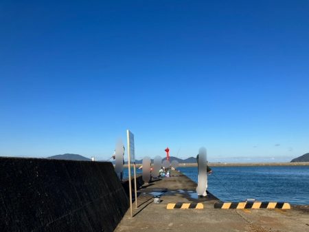 アイゴ祭りに、大きめアジに、ついにサヨリが!