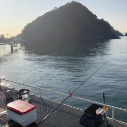 フィッシングパーク光