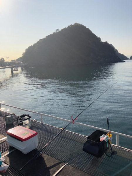 フィッシングパーク光