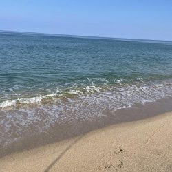 短時間サーフ釣行