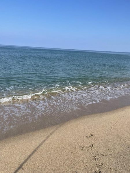 短時間サーフ釣行