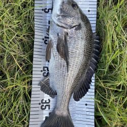 イチノ兄弟(兄)釣果!