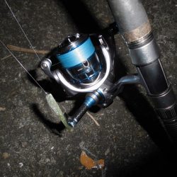 8ポンドのリーダーでないと喰わないのか？