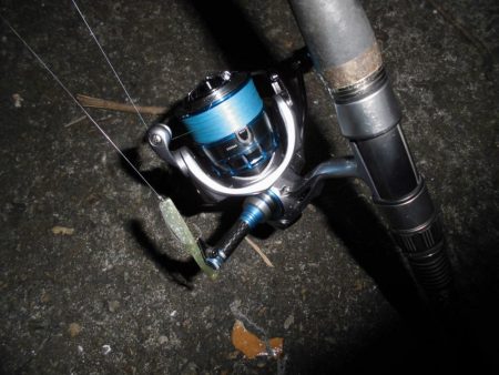 8ポンドのリーダーでないと喰わないのか？