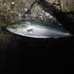 日没後の猛打賞?