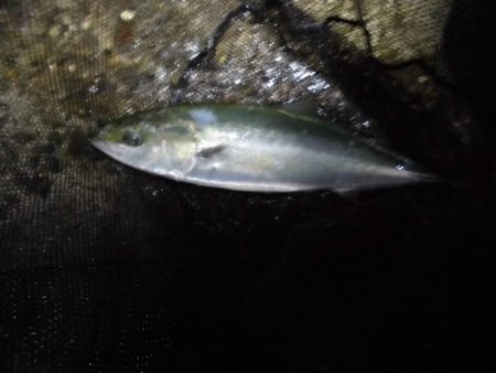 日没後の猛打賞?