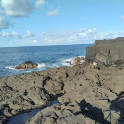 三宅島「温泉下」入磯、小物乱舞エサ取りとの半日。