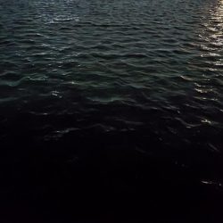 ぶっ込み釣りでアナゴ