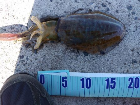 天候はよかったのですが・・・