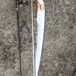 秋の青物狙いpart 6