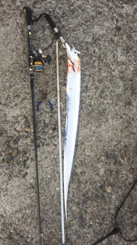 秋の青物狙いpart 6