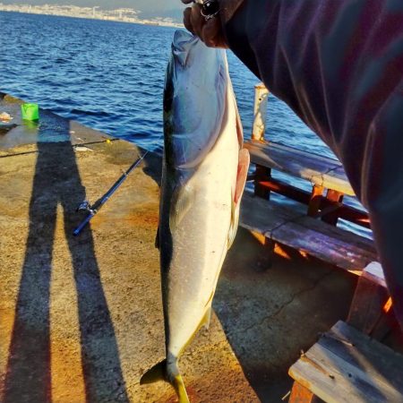今日も浮き飲ませで(爆)釣果