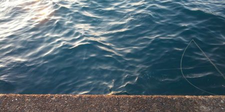 今季最終エギング