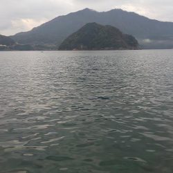 ぎりぎりサワラクラス