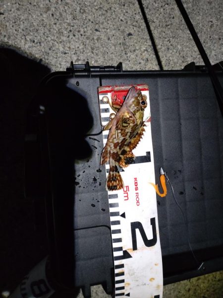 いつも通りのライトゲーム