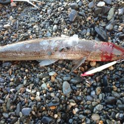 サーフエギング&ショアジギング