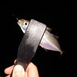 ライトワインド