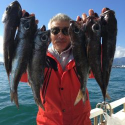 大ムツハント　駿河湾　遊漁船　大宝丸　餌釣り＆スロージギング