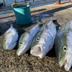 ★★とうとう奴が来た★★