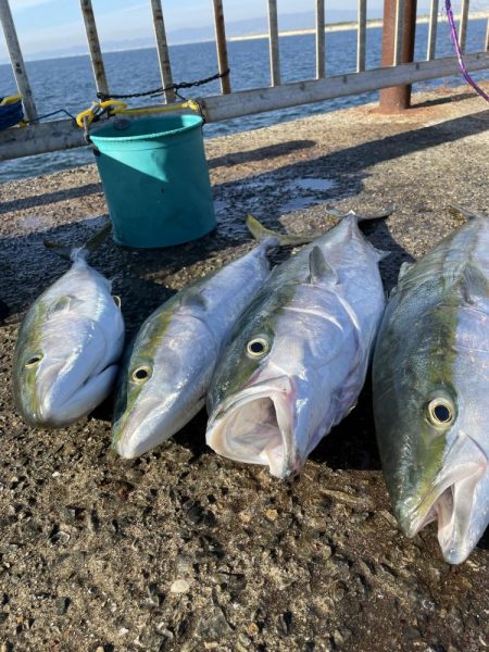 ★★とうとう奴が来た★★