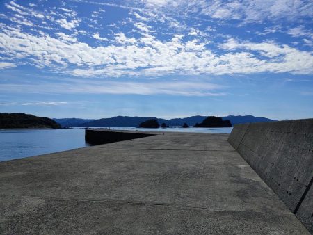 ハマチと水鳥釣れた。