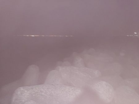 アジがいない！