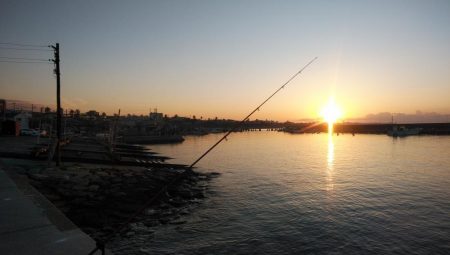 江井ヶ島のキス情報