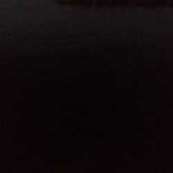 アオリイカ1杯! バラシ1杯