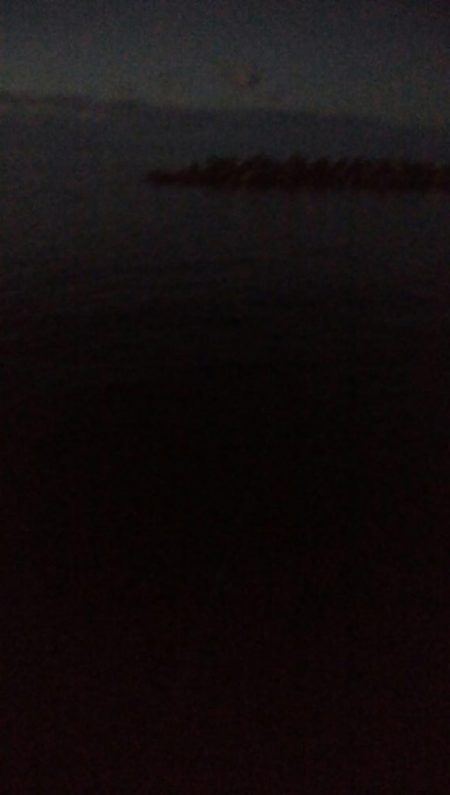 アオリイカ1杯! バラシ1杯