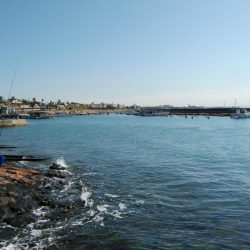 久々の良型キスが釣れました