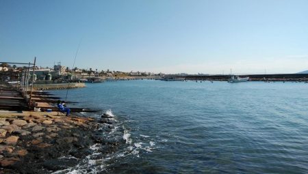 久々の良型キスが釣れました