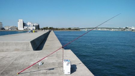 東二見白灯台のキス調査