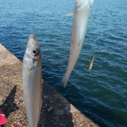 投げ「引き釣り」