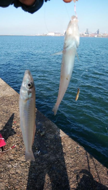 投げ「引き釣り」