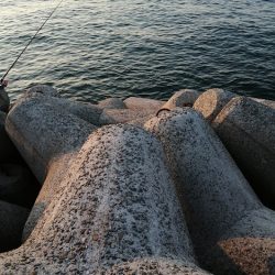 まあまのサイズかな。。