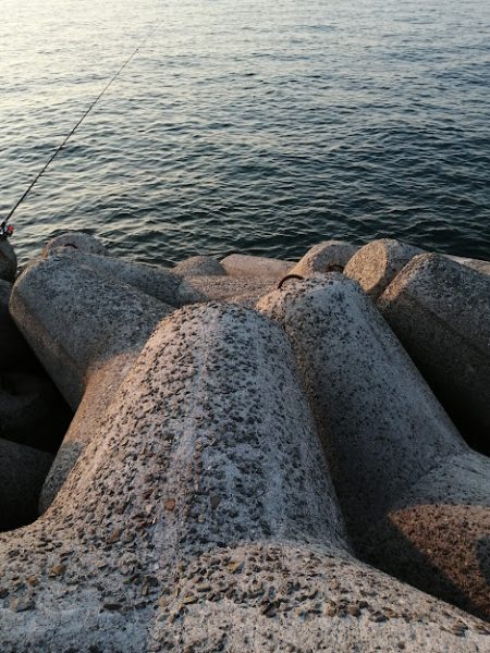 まあまのサイズかな。。