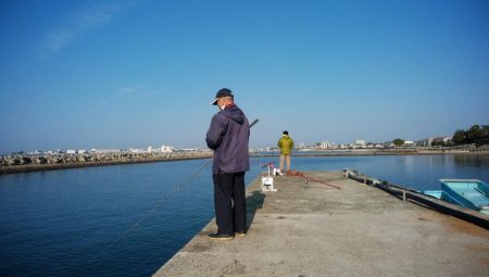 魚住港のキス調査